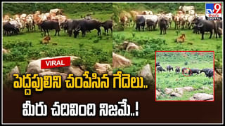 Viral: ఆ ఊళ్లో దొంగలు పడితే పోలీస్‌ స్టేషన్‌కి కాదు గుడికి వెళ్తారు.. ఎందుకంటే..?