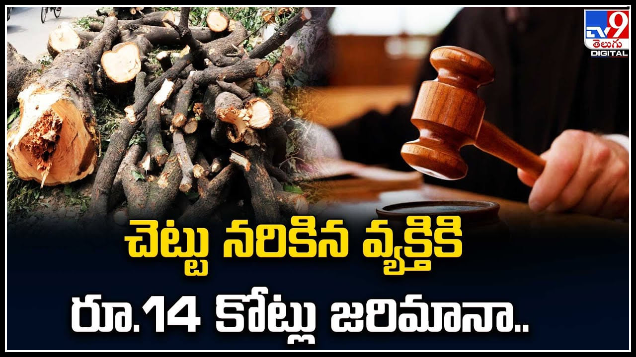 Trees: పొరుగింటి ఆవరణలో చెట్లు నరికివేసిన వ్యక్తి.. కోర్టును ఆశ్రయించిన చెట్ల యజమాని.