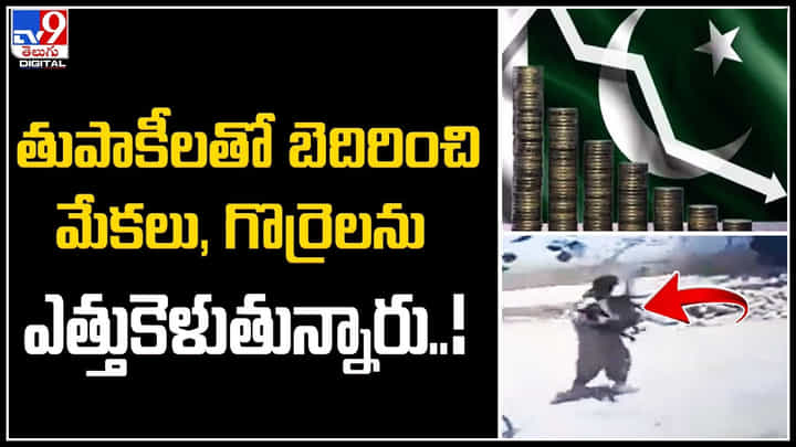 Thieves In Pak: తుపాకీలతో బెదిరించి మరీ మేకలు, గొర్రెలను ఎత్తుకెళుతున్నారు..! Thieves In Pak: తుపాకీలతో బెదిరించి మరీ మేకలు, గొర్రెలను ఎత్తుకెళుతున్నారు..!