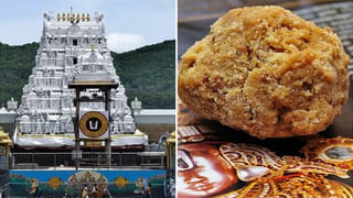 Tirumala: టీటీడీలో నెయ్యి కొనుగోళ్ల దుమారం.. కేఎంఎఫ్ కామెంట్స్‌కు మార్చిలో టెండర్ వెయ్యలేదంటూ టీటీడీ కౌంటర్..