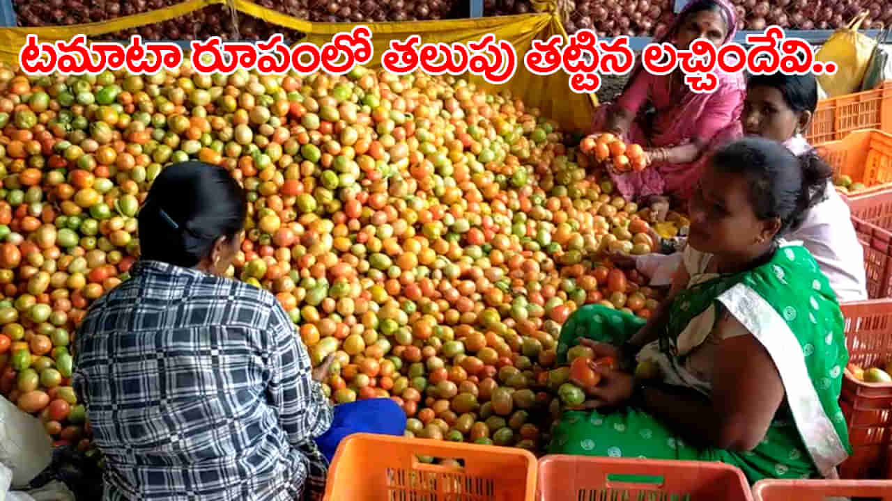 Tomato Price: అంతా టమాట చలవే..! కేవలం నెల రోజుల్లోనే కోటీశ్వరుడైన టమాట రైతు