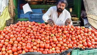 Krishna River: పరవళ్లు తొక్కుతోన్న కృష్ణమ్మ.. శ్రీశైలం ప్రాజెక్టుకు జలకళ..