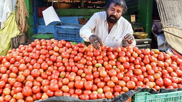 Tomato Price: డబుల్ సెంచరీకి చేరువలో టమోటా.. ప్రస్తుతం ధర ఎంత ఉందో తెలుసా..!
