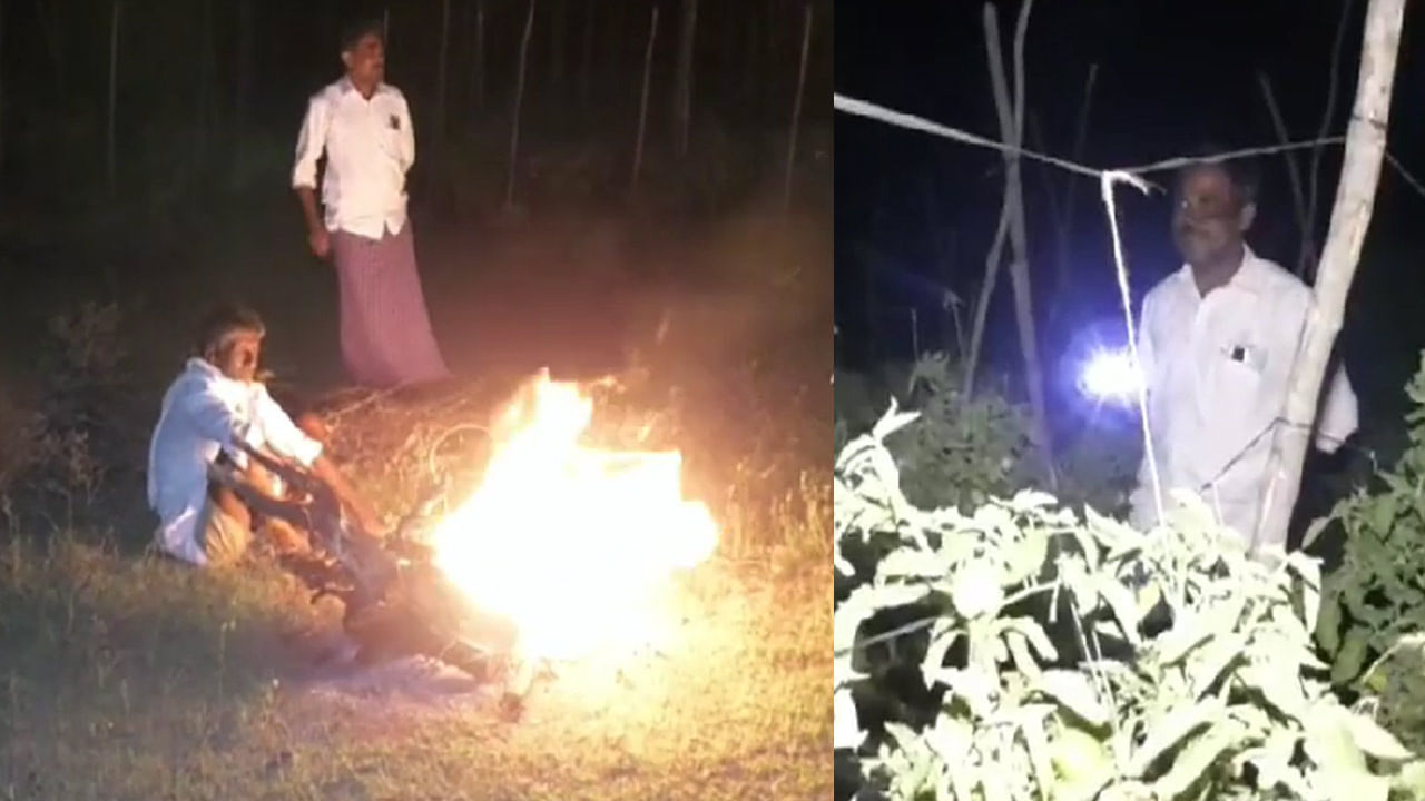 Viral: టచ్ చేసి చూడు.. ‘రెడ్ డైమాండ్’కు హై సెక్యూరిటీ.. గోల్డ్ మైన్స్ ప్రాంతంలో టెన్షన్.. టెన్షన్..