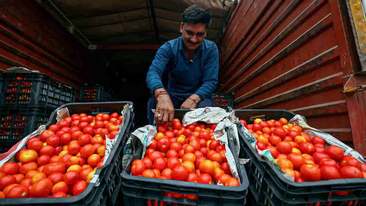 Tomato Price: గురువారం నుంచి రూ. 70లకే కిలో టమాటో.. రంగంలోకి దిగిన కేంద్ర సహకార నాఫెడ్..
