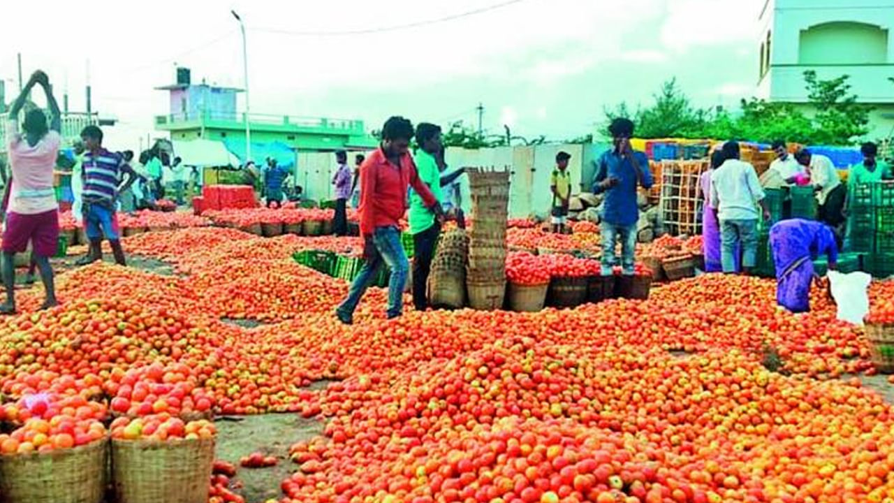 ముఖ్యంగా టామాట దిగుబడి తగ్గడంతో డిమాండ్ పెరిగినట్లు పేర్కొంటున్నారు. దీంతో చాలా ప్రాంతాల్లో టామాటకు డిమాండ్ ఏర్పడి ధరలు ఆకాశన్నంటుతున్నాయని పేర్కొంటున్నారు వ్యాపారులు. 