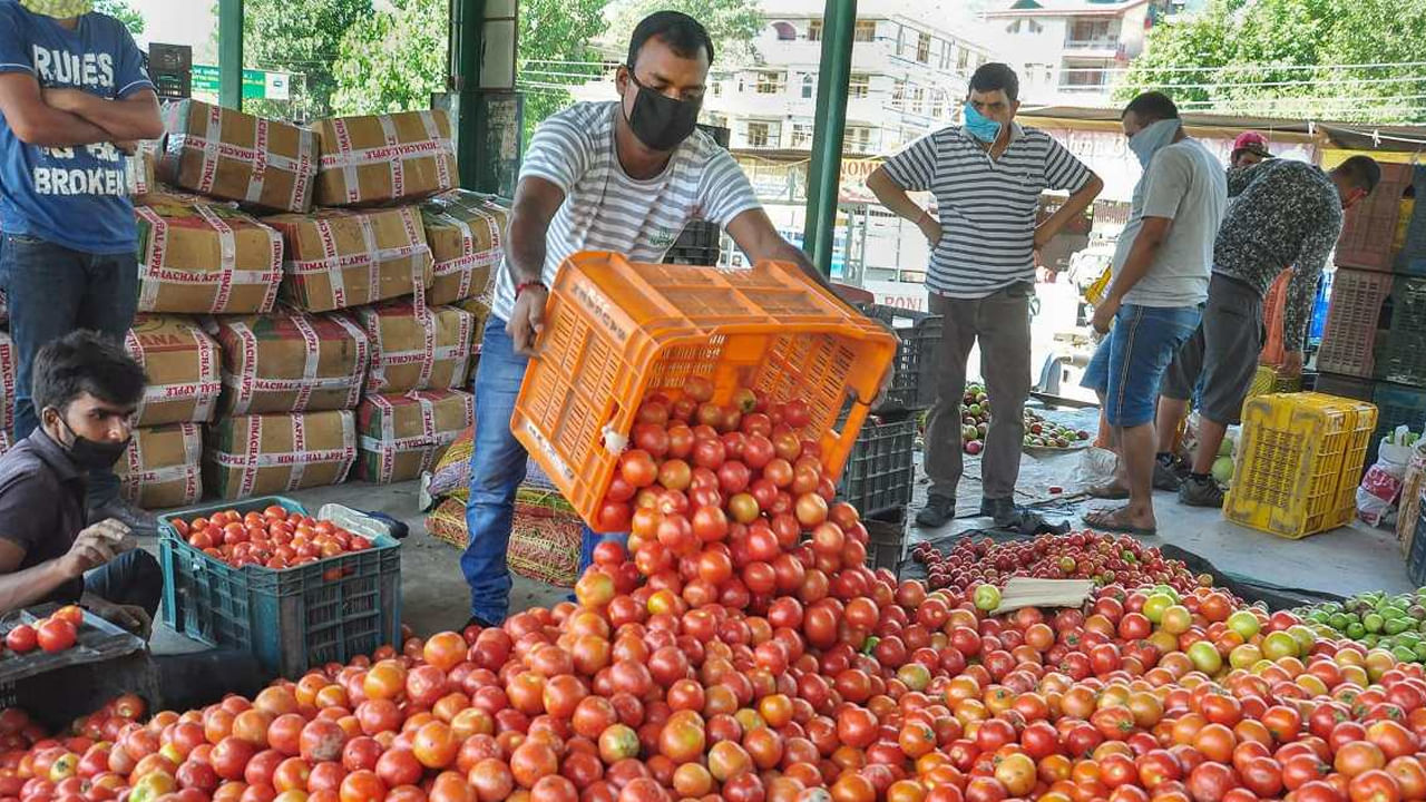 Tomato Price: కొనేదెట్టా.. తినేదెట్టా..! తగ్గేదేలే అంటున్న టామాటా ధరలు.. మార్కెట్‌లో రేటు ఎంత ఉందంటే..