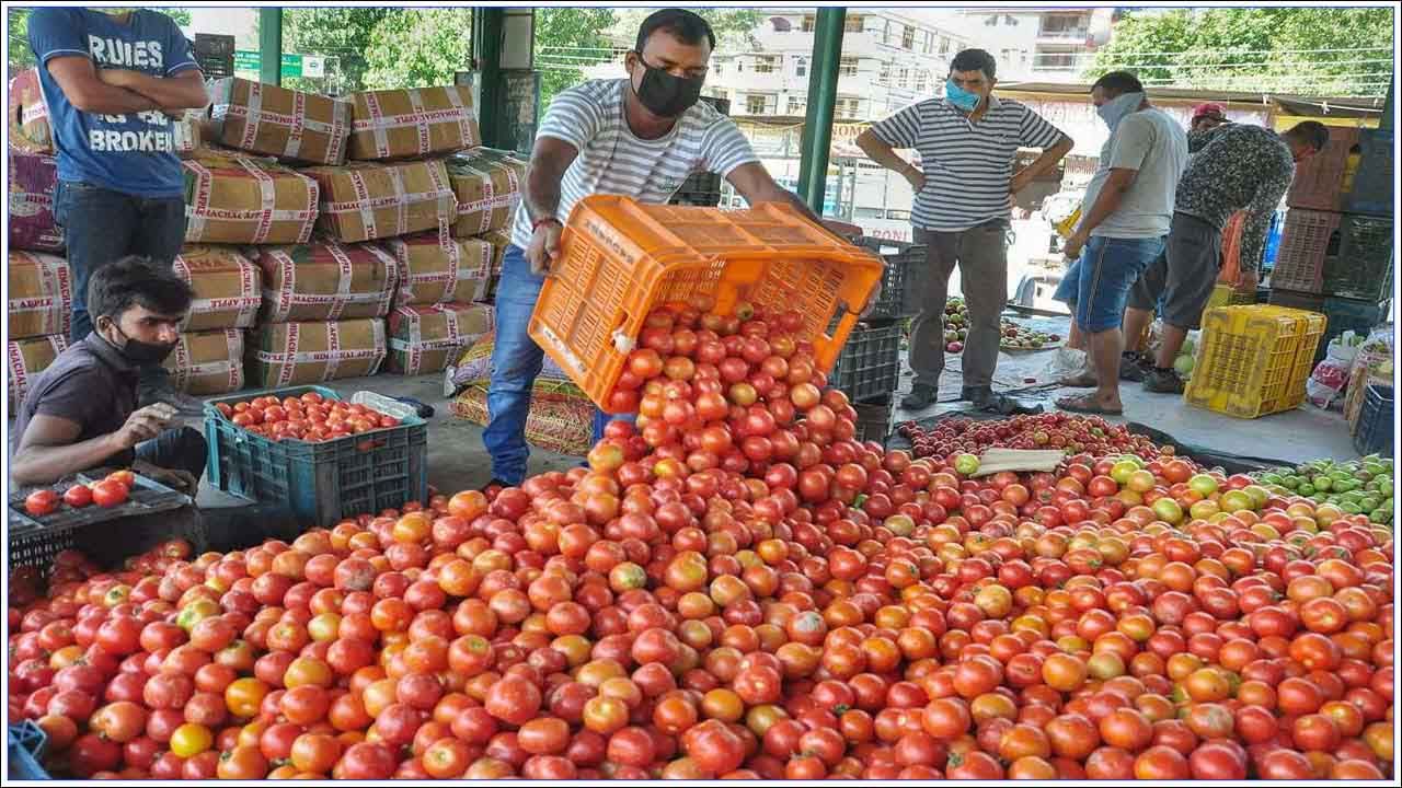 Tomatoes