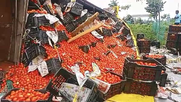 Tomato Lorry: నడి రోడ్డుపై ‘ఎర్రబంగారం’.. అది చూసిన జనాలు ఊరుకుంటేనా? ఏం జరిగిందో మీరే చూడండి..