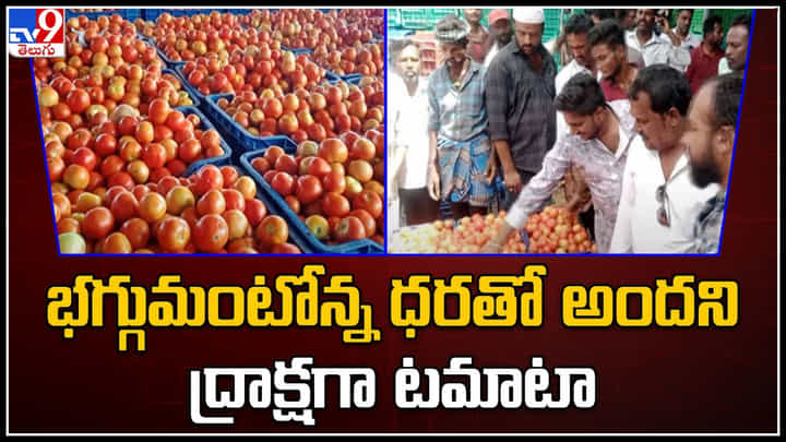 Tomato Price: భగ్గుమంటోన్న ధరతో అందని ద్రాక్షగా టమాటా.. వీడియో. Tomato Price: భగ్గుమంటోన్న ధరతో అందని ద్రాక్షగా టమాటా.. వీడియో.