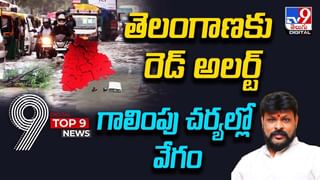 Plane Falling: రన్ వే పై దొర్లిన విమానం.. ప్రమాదకర ల్యాండింగ్‌ వీడియో వైరల్‌.