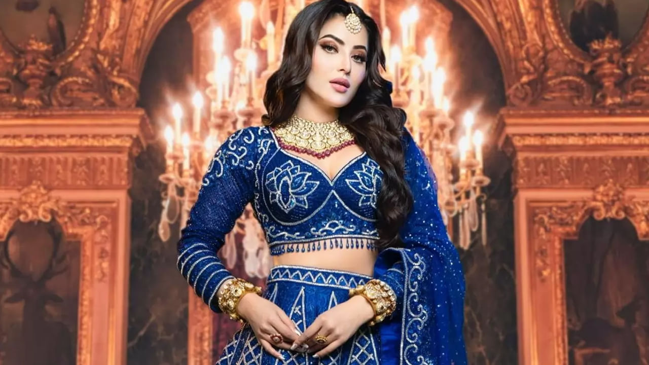 ఊర్వశి రౌతేలా ప్రస్తుత నికర విలువ $6 మిలియన్లు అంటే దాదాపు రూ. 50 కోట్లు. ఆమె తన ఇతర నిశ్చితార్థాల నుండి ప్రతి నెలా 40 నుండి 50 వేల డాలర్లు అంటే 35-40 లక్షల రూపాయలను సులభంగా సంపాదిస్తుంది