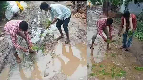 రోడ్డుపై వరినాట్లు వేసి వెరైటీ నిరసన.. సమస్యను ప్రభుత్వ దృష్టికి తీసుకెళ్లెందుకు గ్రామస్తుల వినూత్న ప్రయత్నం..