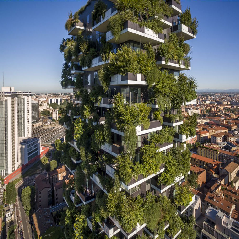 Vertical Forest 3