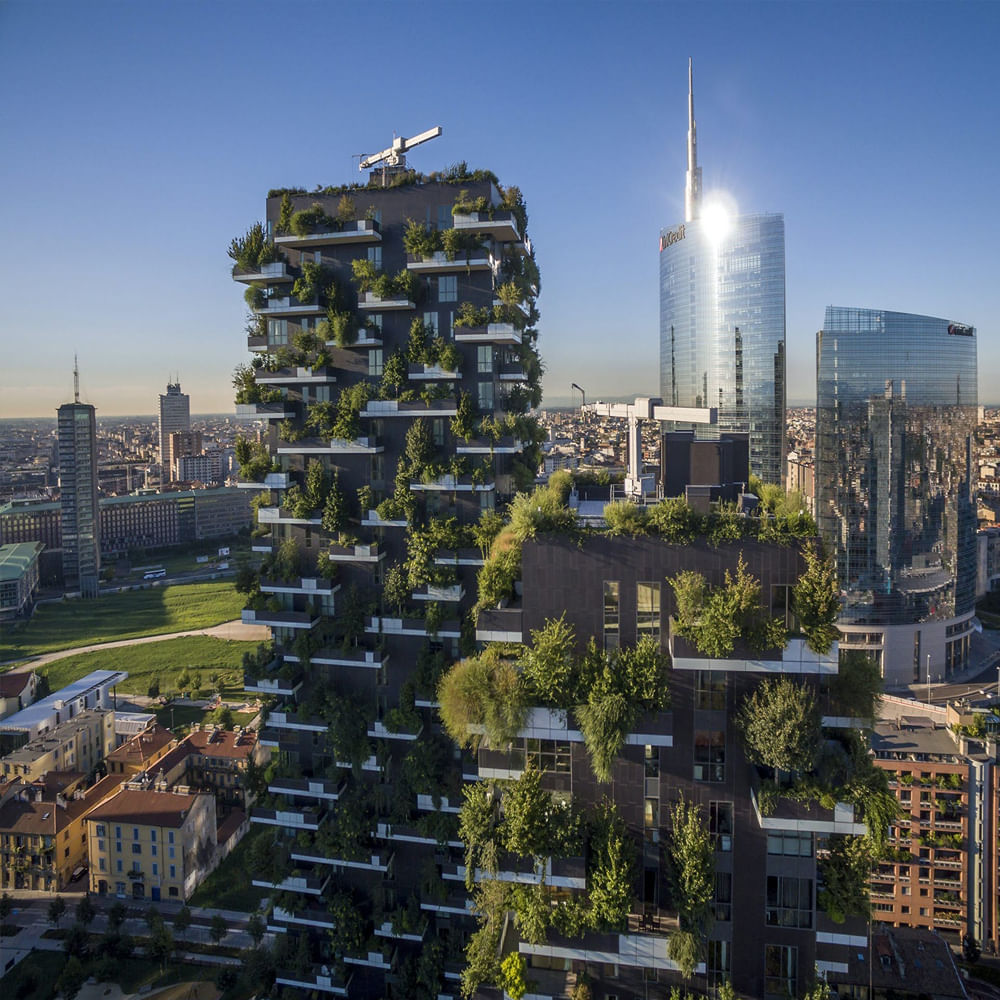 Vertical Forest 4