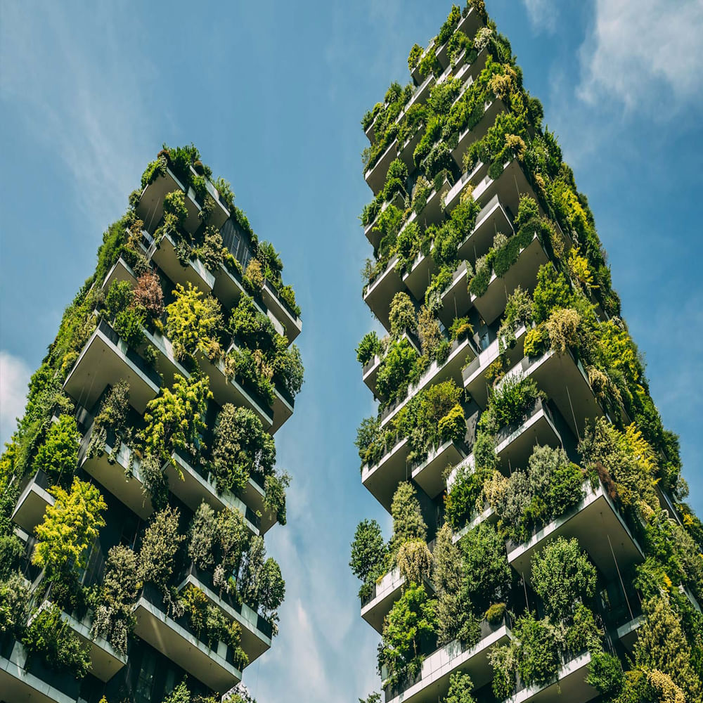 Vertical Forest 5