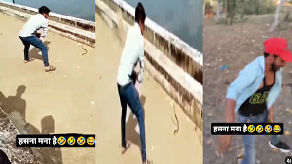 Viral Video: పాముని చీపురుతో పట్టుకునే ప్రయత్నం చేసిన యువకుడు .. ఫన్నీ వీడియోపై ఓ లుక్ వేయండి..