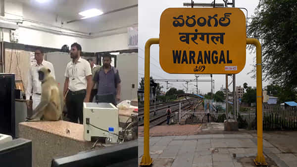 Warangal: వరంగల్ రైల్వే స్టేషన్లో కొండ ముచ్చు హల్చల్.. అందరికీ ముచ్చెమటలు పట్టించిందిగా..