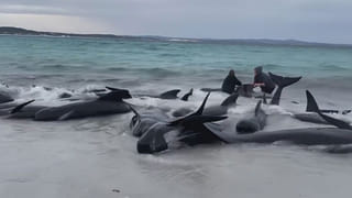 Niger: ఆర్మీ పాలనలోకి మరో దేశం.. ఆ దేశ అధ్యక్షుడిని ఖైదీ చేసిన సైన్యం .. దేశ సరిహద్దులు మూసివేత..