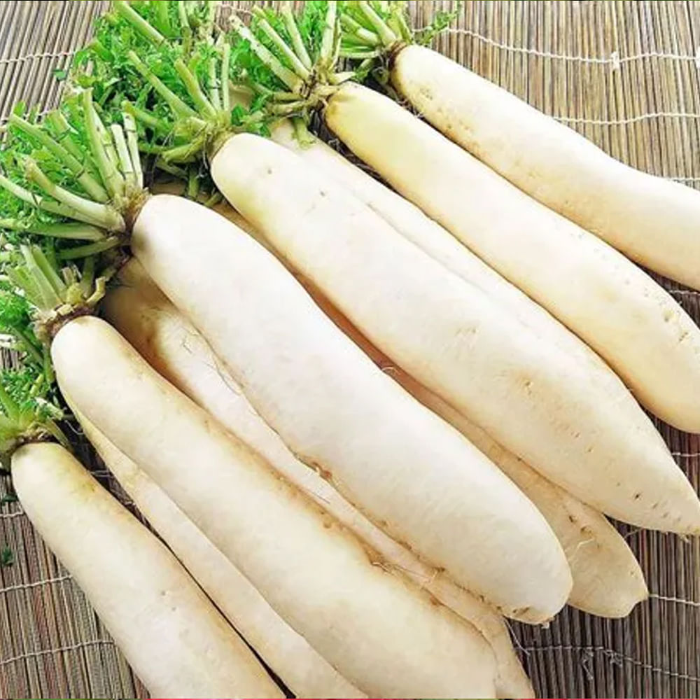 ముల్లంగిలో యాంటీ ఆక్సిడెంట్లు కారణంగా మ‌న శ‌రీర రోగ నిరోధ‌క శ‌క్తి పెరుగుతుంది. అలాగే క్యాన్స‌ర్ వ్యాధులు రాకుండా ఉంటాయి.