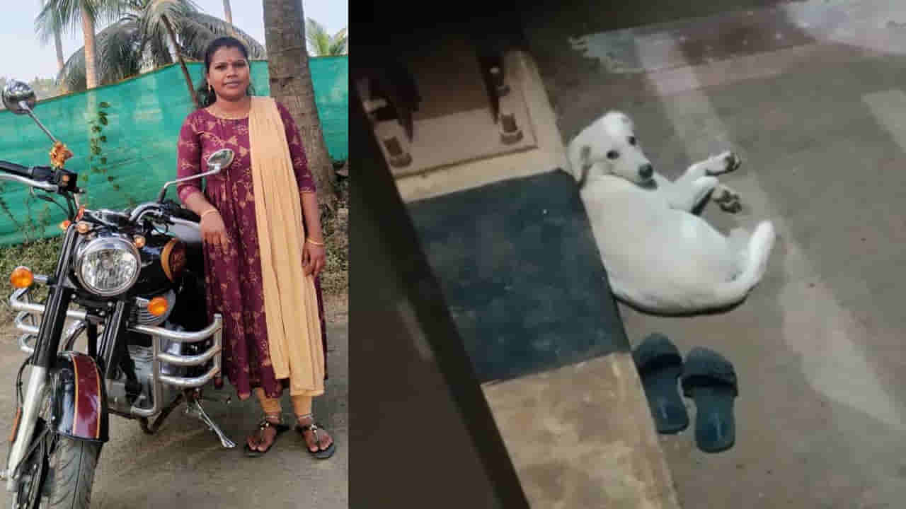 Yanam: పెట్ డాగ్ చూస్తుండగానే గోదావరిలోకి దూకి యువతి ఆత్మహత్య.. పాపం అల్లాడిపోయిన శునకం