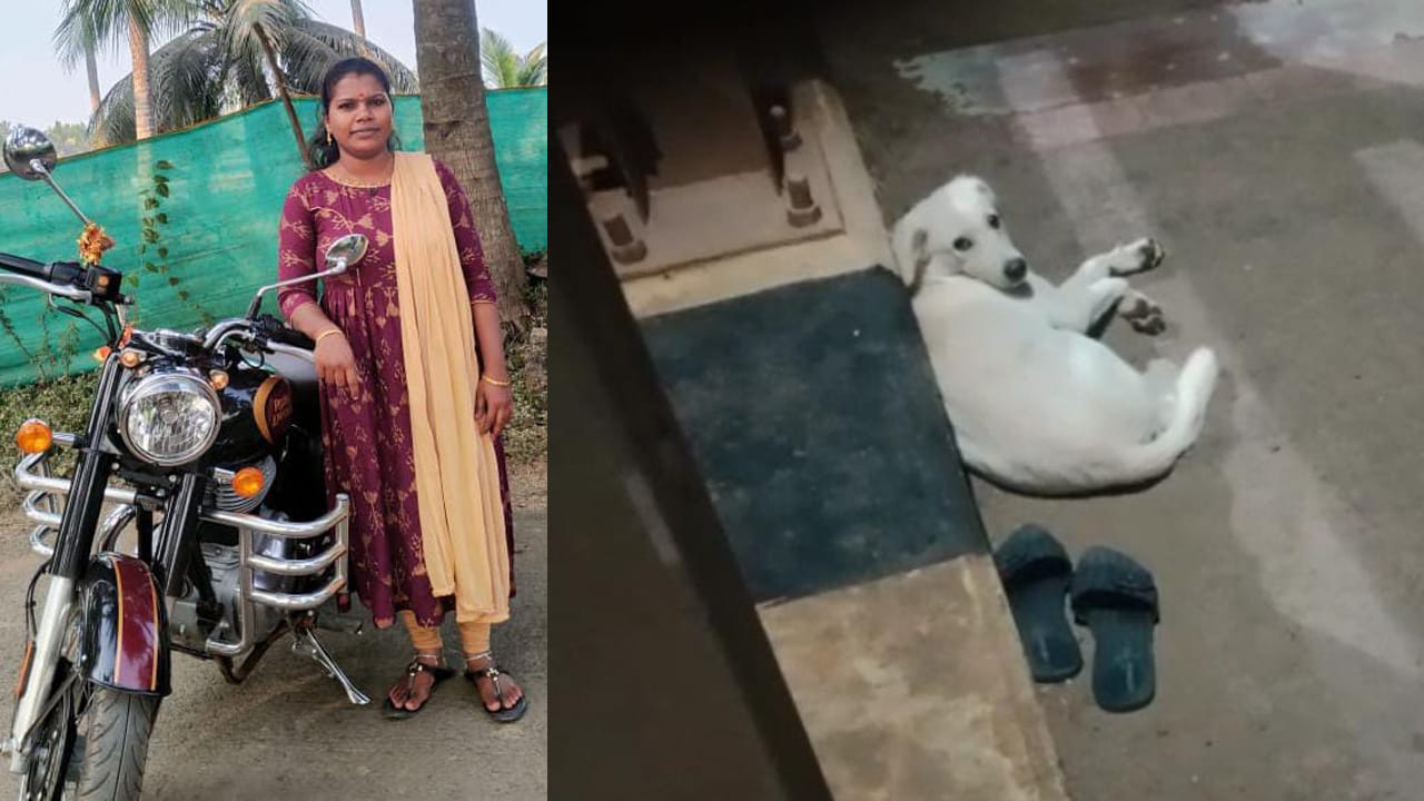 Yanam: పెట్ డాగ్ చూస్తుండగానే గోదావరిలోకి దూకి యువతి ఆత్మహత్య.. పాపం అల్లాడిపోయిన శునకం