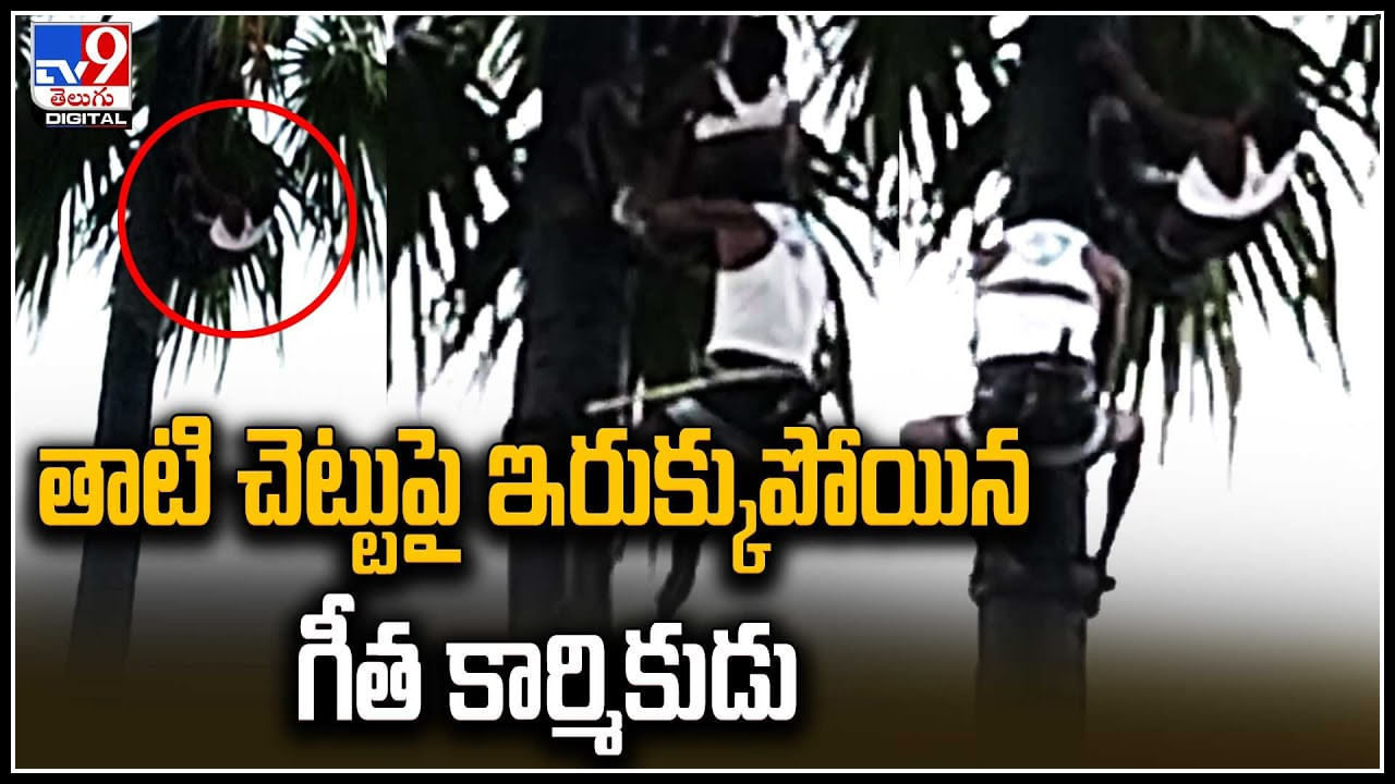 Viral Video: కల్లు గీస్తూ.. తాటి చెట్టుపై ఇరుక్కుపోయిన గీత కార్మికుడు.. వీడియో వైరల్.