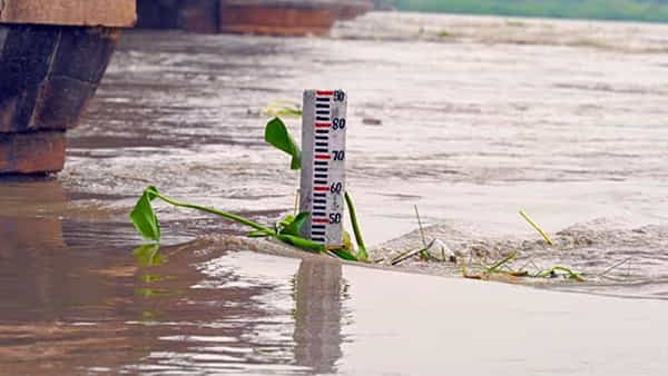 Yamuna River: మళ్లీ ఉగ్రరూపం దాల్చుతున్న యమునా నది.. ప్రమాదకర స్థాయి దాటడంతో ఆందోళనలో స్థానికులు
