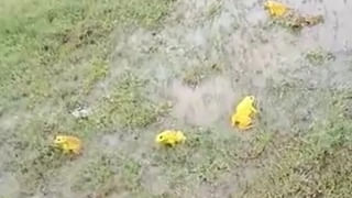 Hyderabad: ఆపద్బాంధవులుగా మారిన పోలీసులు.. ఆఖరు నిమిషంలో ఆ తల్లికి ప్రాణం పోశారు..