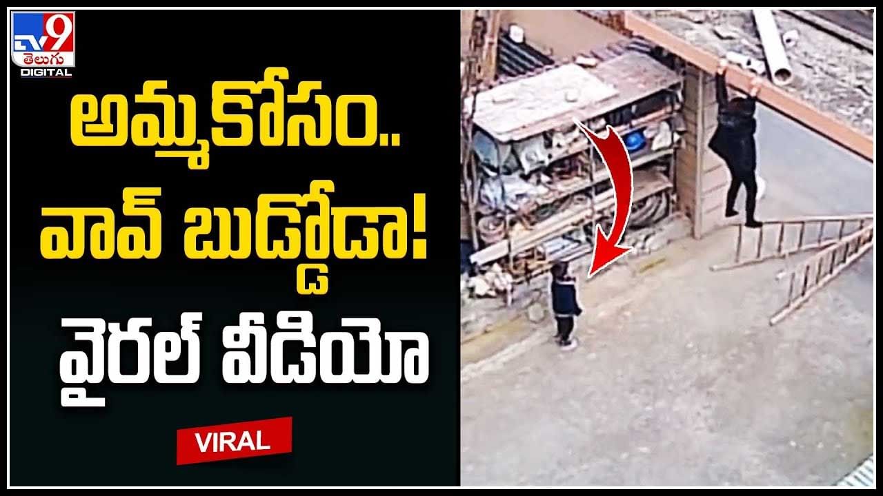 Viral Video: వావ్‌ బుడ్డోడా..! అమ్మకోసం రిస్క్ చేసావా.. వైరల్‌ అవుతున్న వీడియో..