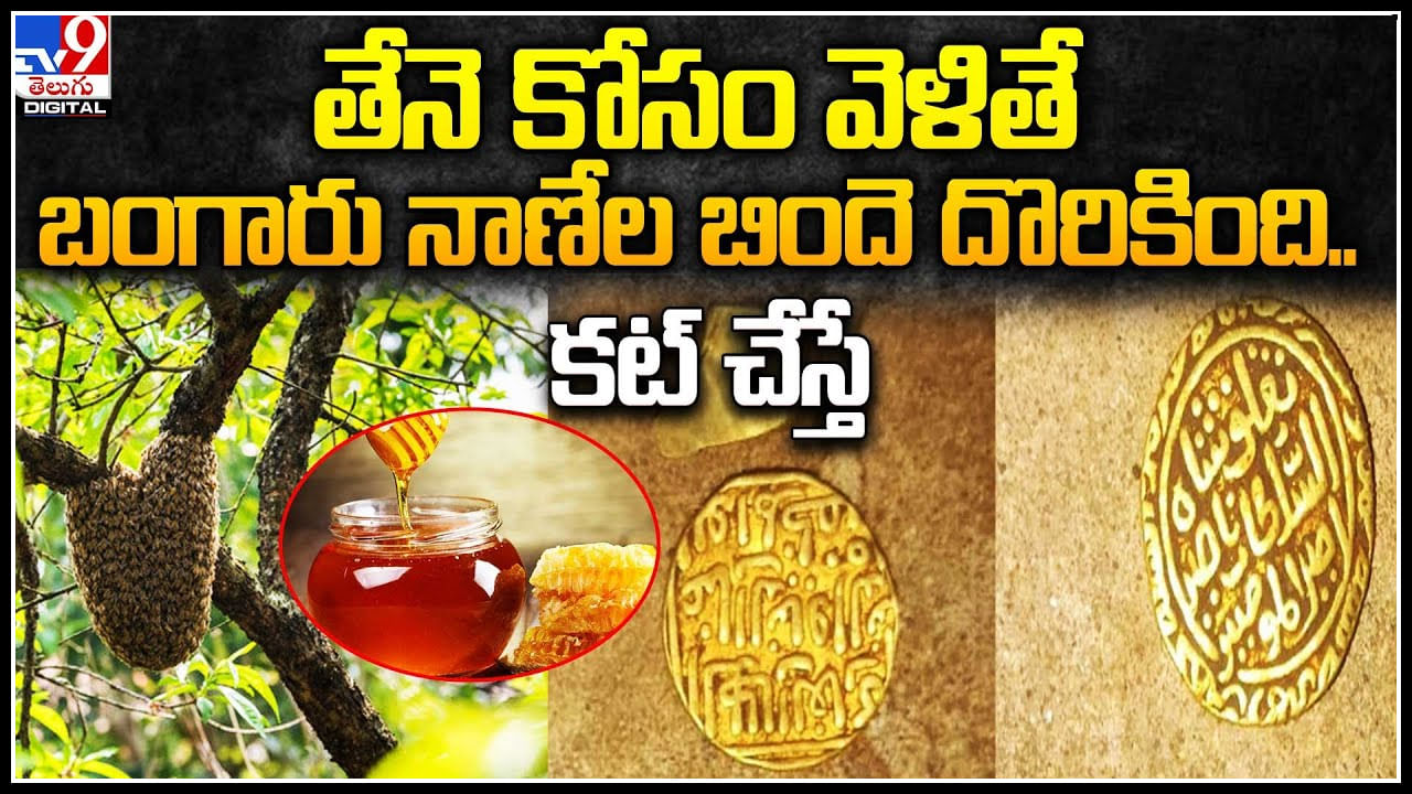 Viral Video: తేనె కోసం వెళితే బంగారు నాణేల బిందె దొరికింది.. కట్ చేస్తే రంగంలోకి పోలీసులు.