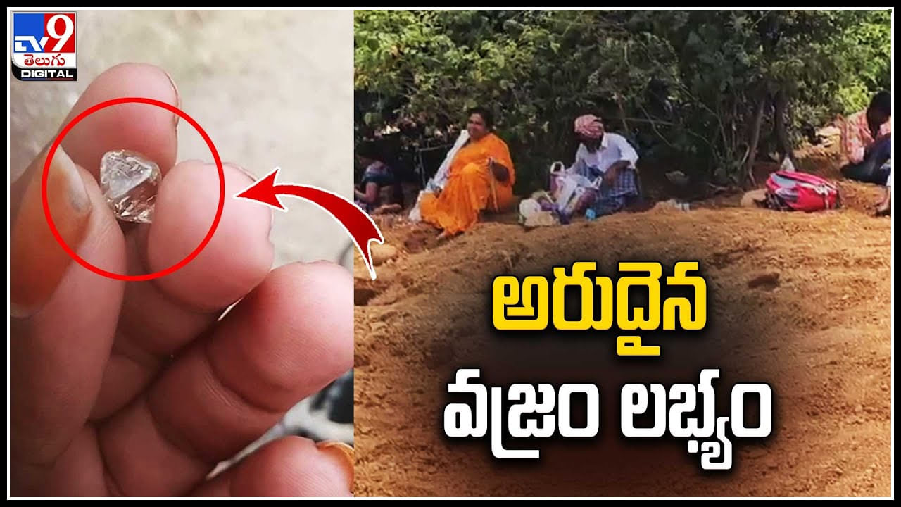 Rare Diamond: గుడిమెట్లలో దొరికిన అరుదైన వజ్రం.. కృష్ణా ప్రాంతంలో వజ్రాలు లభ్యం.