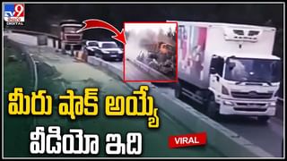 Viral: వాక్ చేద్దామనుకుంటే షాక్ తగిలింది.. వైరల్ అవుతున్న షాకింగ్ వీడియో..