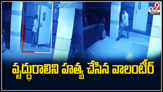 Viral Video: పగబట్టిన ఎద్దు..భయపడి చెట్టెక్కిన వ్యక్తి.. వైరల్ అవుతున్న వీడియో..