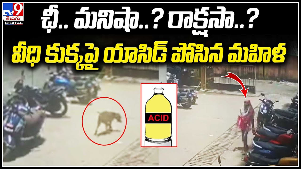 Viral Video: ఛీ.. మనిషా..? రాక్షసా..? వీధి కుక్కపై యాసిడ్‌ పోసిన మహిళ.. వీడియో వైరల్.