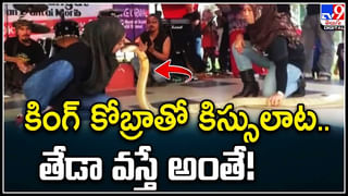 Watch Viral Video: ఏంటీ బ్రో.. ఈ ఆడళ్లు మరీ తయారయ్యారు..? మెట్రో రైల్లో మహిళల కుస్తీ.. ఎందుకు తెలిస్తే..!