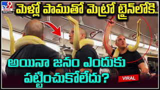 Viral: ఆరు నెలల చిన్నారికి అంతర్జాతీయ అవార్డు.. ప్రతిభను మెచ్చి అవార్డ్‌ పంపిన నోబెల్‌ సంస్థ.