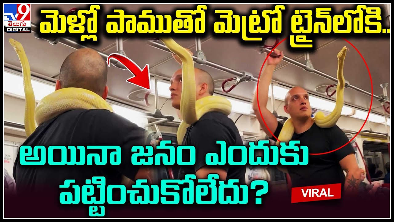 Viral Video: మెడలో పాముతో మెట్రో ఎక్కిన యువకుడు.. అయినా పట్టించుకోని జనం.. ఎందుకంటే.?