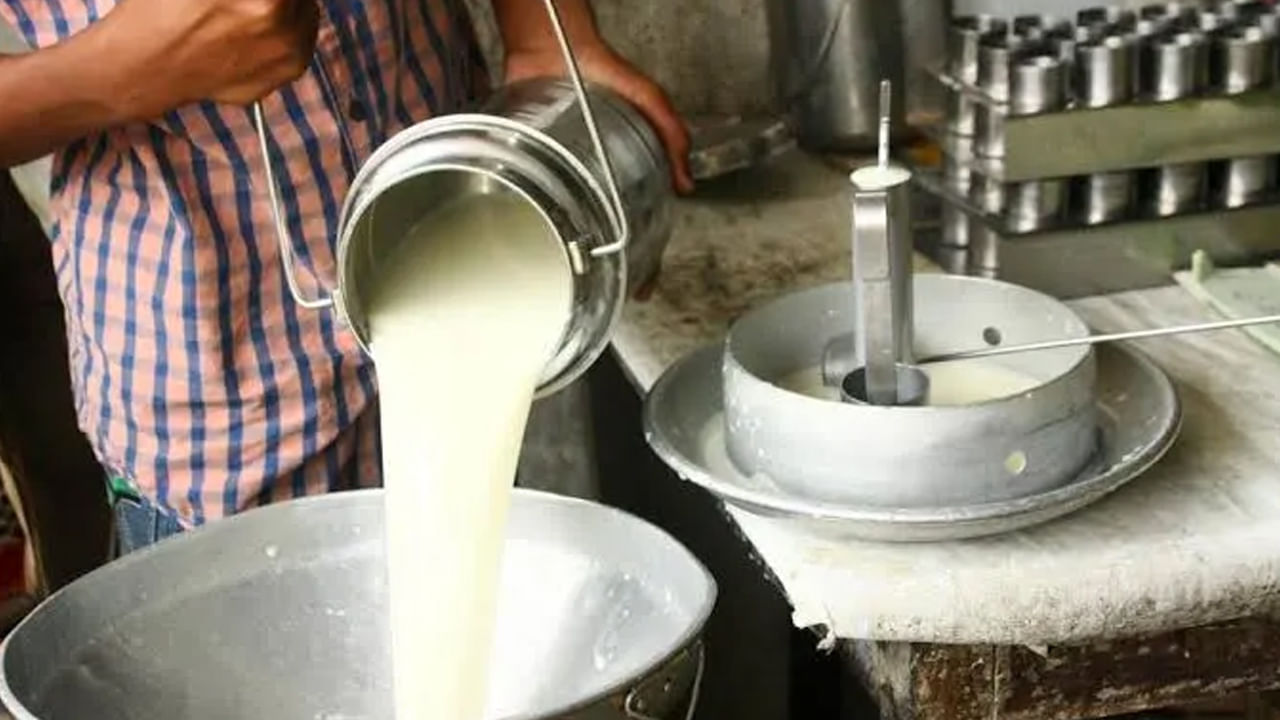 Health Benefits of Milk: పాలను ఉదయం తాగుతున్నారా? అసలు పాలను ఎప్పుడు తీసుకుంటే మంచిది?