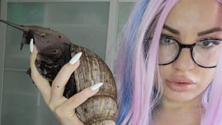 Corona Virus: కరోనాపై చైనా రహస్యాన్ని బట్టబయలు చేసిన పలు అధ్యయనాలు.. 2 నెలల్లో 20లక్షల మంది మృతి