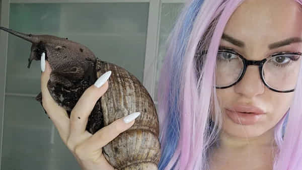 African Land Snails: మహిళ జీవితాన్నే మార్చేసిన ఒక ఐడియా.. ఇపుడు నెలనెలా లక్షల్లో సంపాదన..