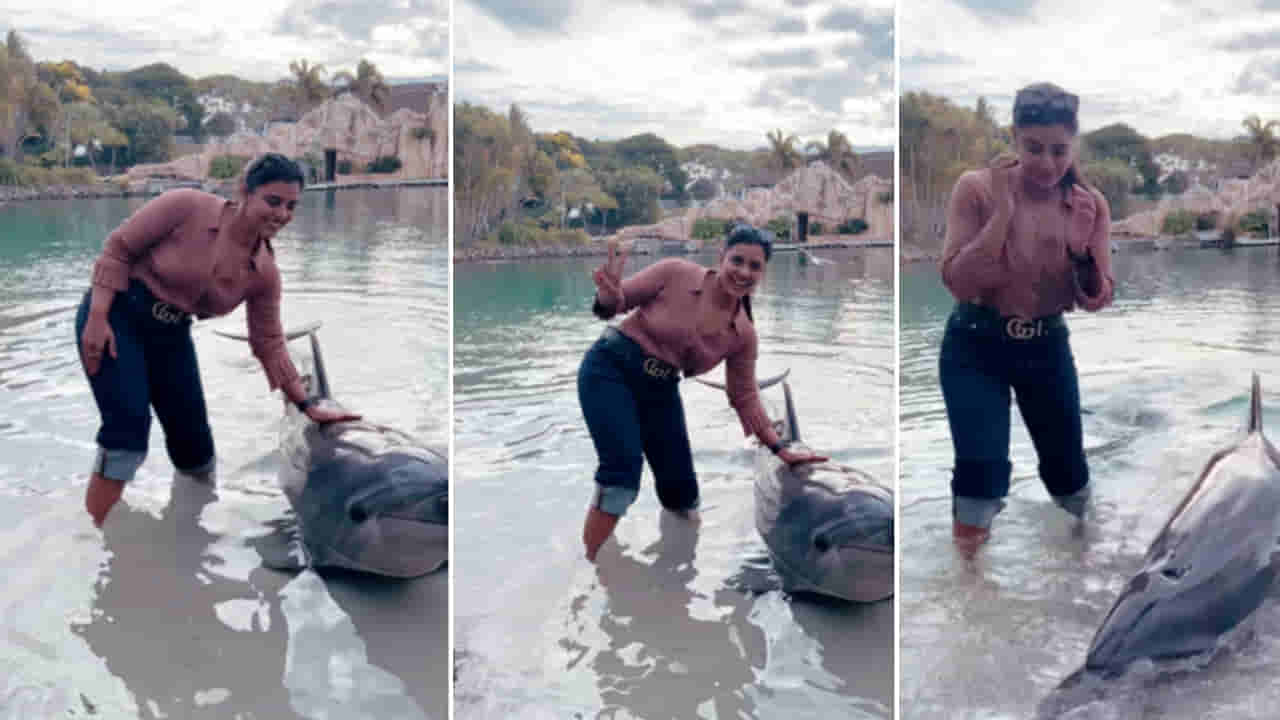 Aishwarya Rajesh: డాల్ఫీన్‌తో ఆటలాడాలనుకున్న ఐశ్వర్య రాజేష్.. కానీ అది చేసిన పనికి షాక్ అయ్యి షేకయ్యింది