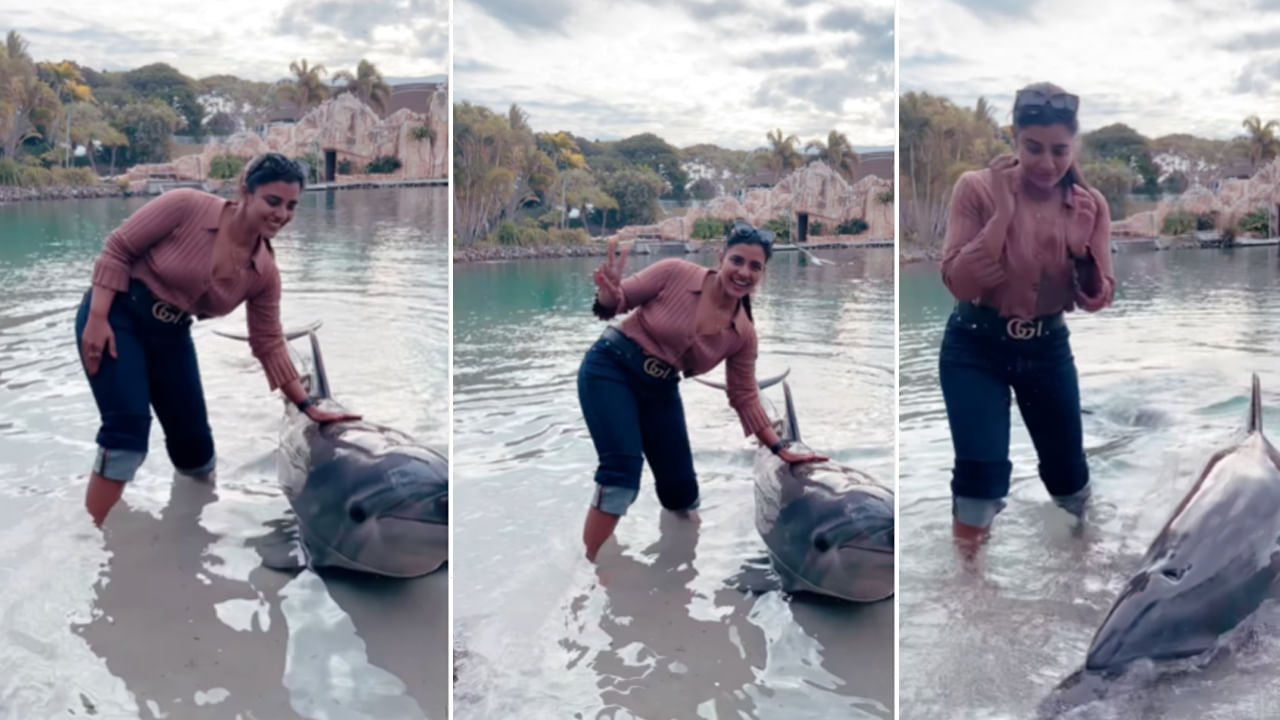 Aishwarya Rajesh: డాల్ఫీన్తో ఆటలాడాలనుకున్న ఐశ్వర్య రాజేష్.. కానీ అది చేసిన పనికి షాక్ అయ్యి షేకయ్యింది