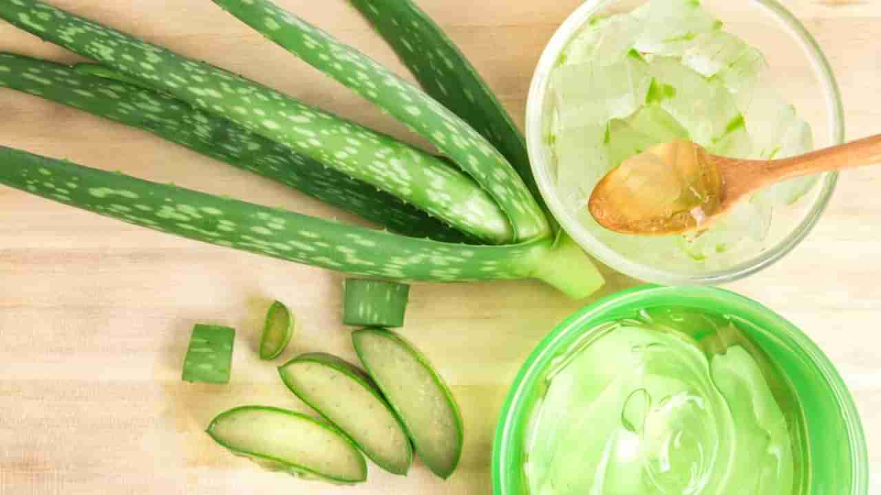 Aloe Vera Benefits for Skin: మెరిసే చర్మం కావాలంటే కలబందను ఇలా రాయండి.. అలా యవ్వనంగా మారిపోండి!