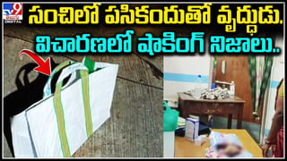 Bears: శ్రీకాకుళం జిల్లా పట్టపగలు వీధుల్లో ఎలుగుబంట్లు సంచారం.. వీడియో వైరల్.