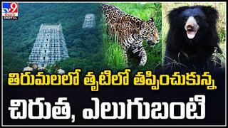 Tirupati: టీటీడీ పాలకమండలి ప్రకటన.. తెలంగాణ నుంచి అమెకు అవకాశం.. లిస్టులో ఇంకా ఎవరెవరు ఉన్నారంటే..?