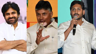 Andhra Pradesh: కష్టానికి ఫలితం దక్కిందోచ్.. తవ్వకాల్లో దొరికిన అరుదైన వజ్రం.. కళ్లు చెదిరే ధర..