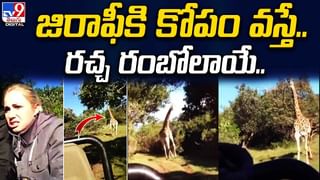 Optical illusion: చీకటి సొరంగమా ?? దట్టమైన అడవా ?? అబ్బురపరుస్తున్న వీడియో