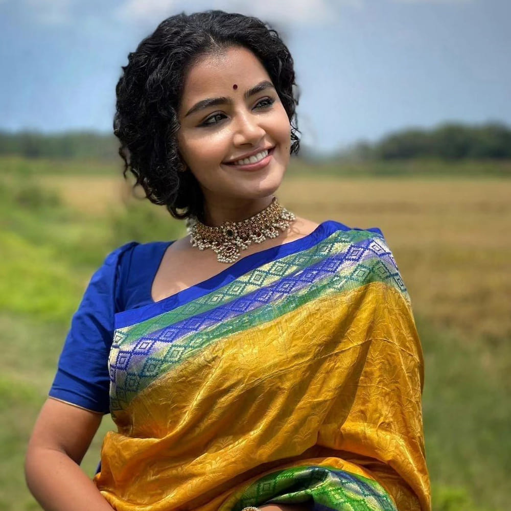 ఇండస్ట్రీలో అనుపమ పరమేశ్వరన్ క్రేజ్ గురించి చెప్పక్కర్లేదు. తాను చేసింది తక్కువ సినిమాలే అయినా యూత్ లో ఫాలోయింగ్ సంపాదించుకుంది.  సోషల్ మీడియాలో ఈ అమ్మడి ఒక్క పోస్ట్ పెడితే చాలు, అది ట్రేండింగ్ లో నిలవాల్సిందే. 