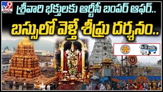 TTD: చిరుత దాడి నేపథ్యంలో టీటీడీ కీలక నిర్ణయం.. ఇకపై కాలినడక మార్గంలో..